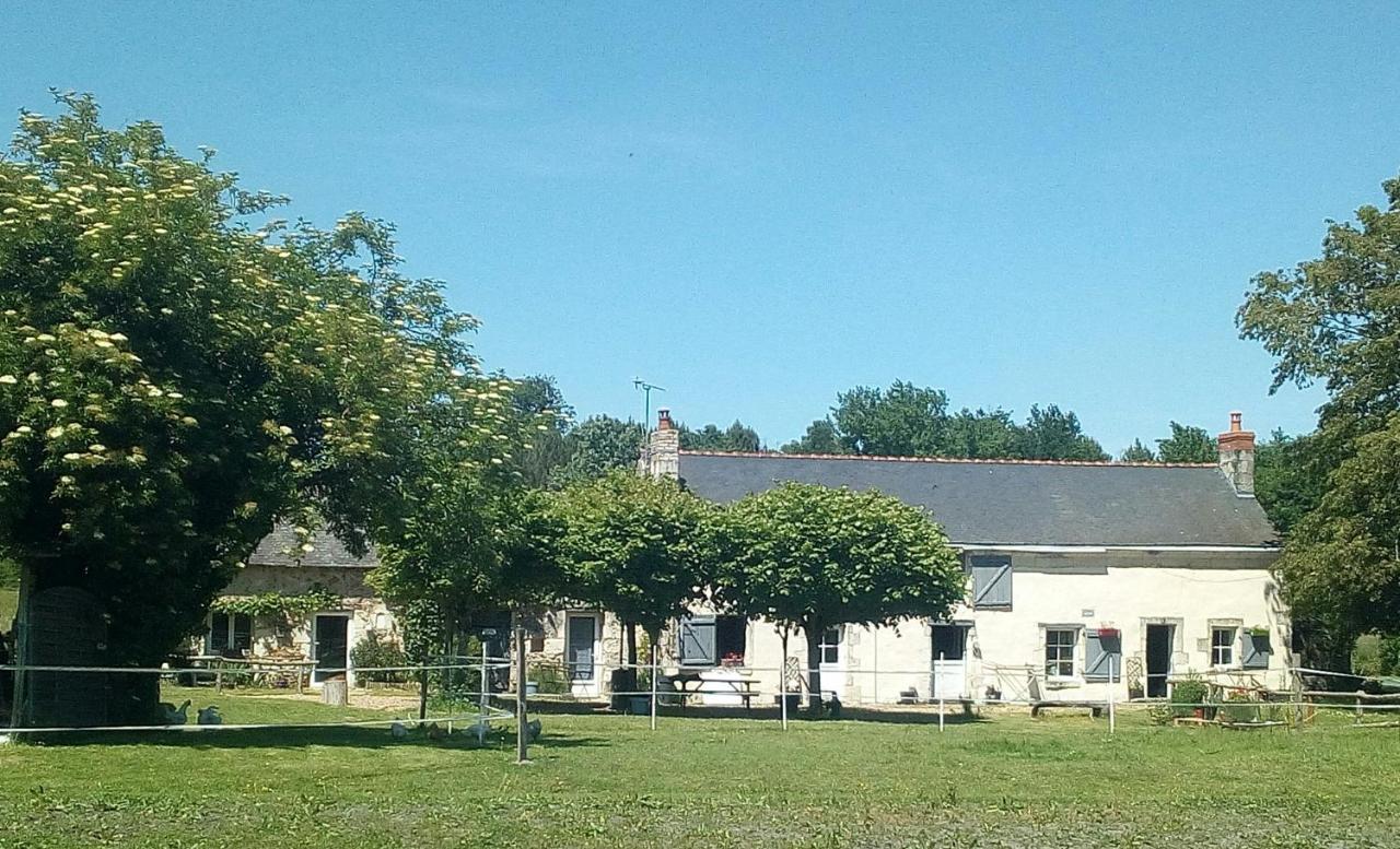 Les Chambres Du Vau Profond Vernoil Exteriör bild